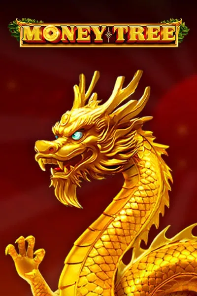 robycasino-moneytree